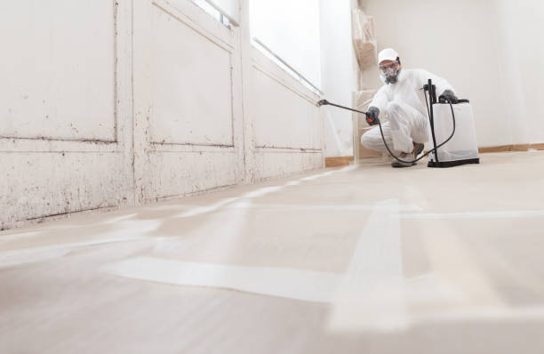 24/7 Emergency Attic Mold Removal experts in Lewisville, TX